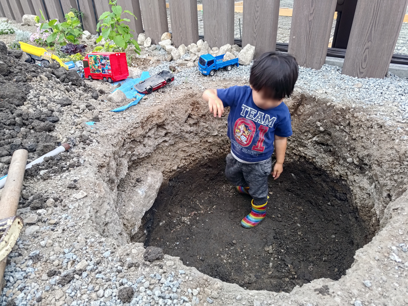 tree_hole.png
