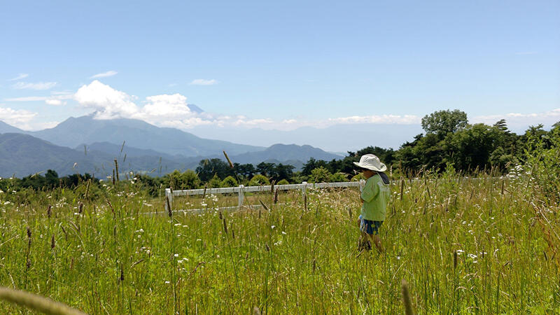 清泉寮の牧場